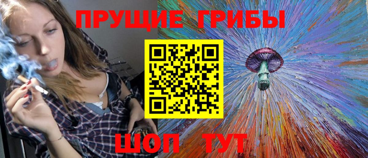 Псилоцибиновые грибы Psilocybe Кимовск